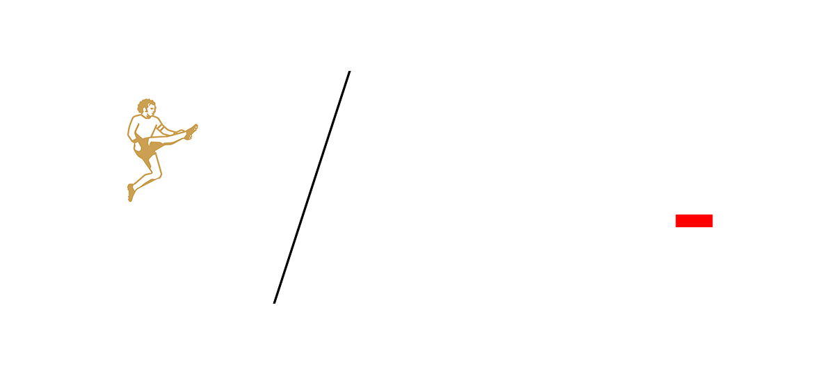 Sportfive Wordmark